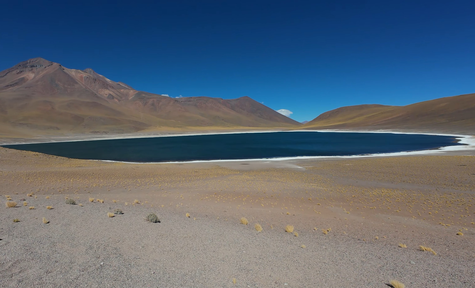 Laguna d'alta quota lungo un tour di Piedras Rojas nel deserto di Atacama